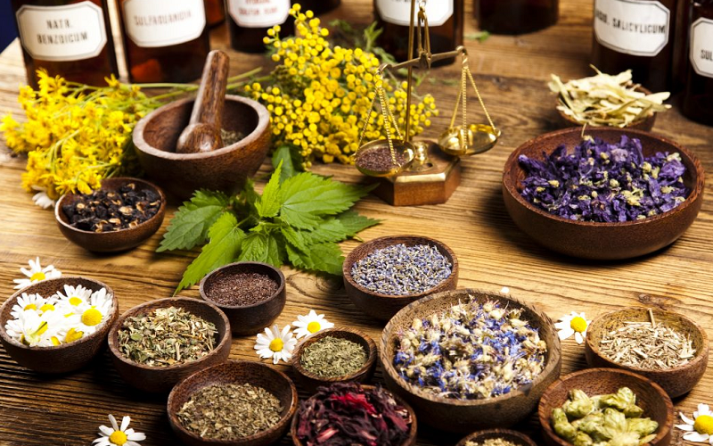 traditional medicine articles