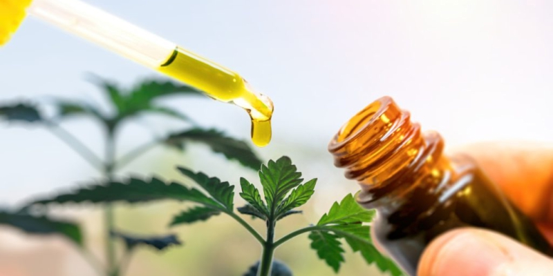 cbd oil for pain relief