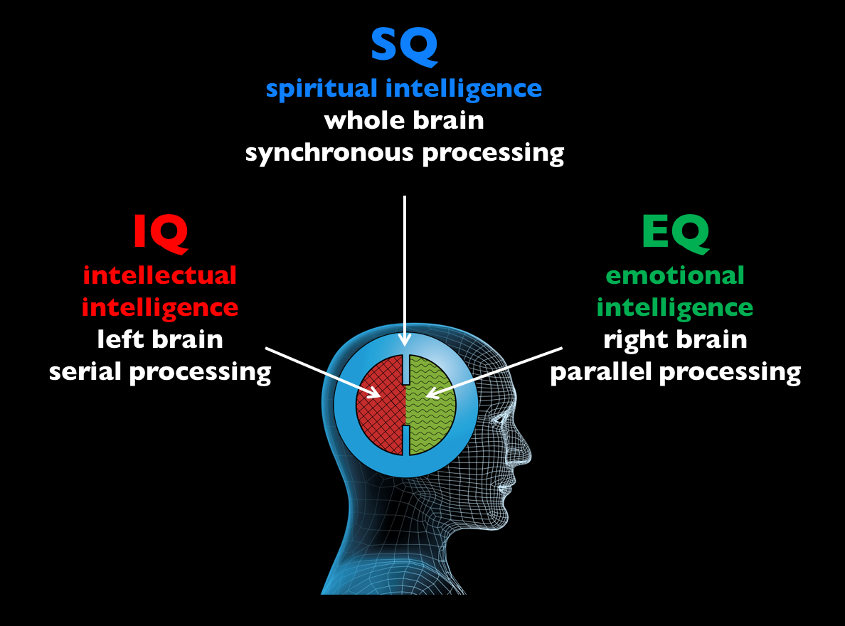 dimensions of intelligence