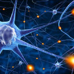 neuroplasticity improves brain