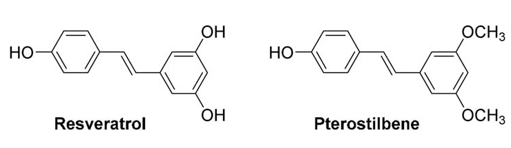 nootropics chemistry