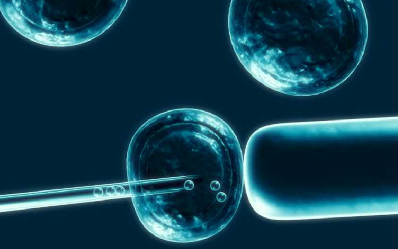 stem cells articles