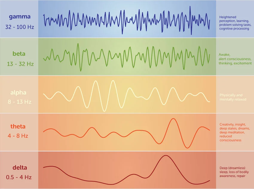 brain wave types graphs