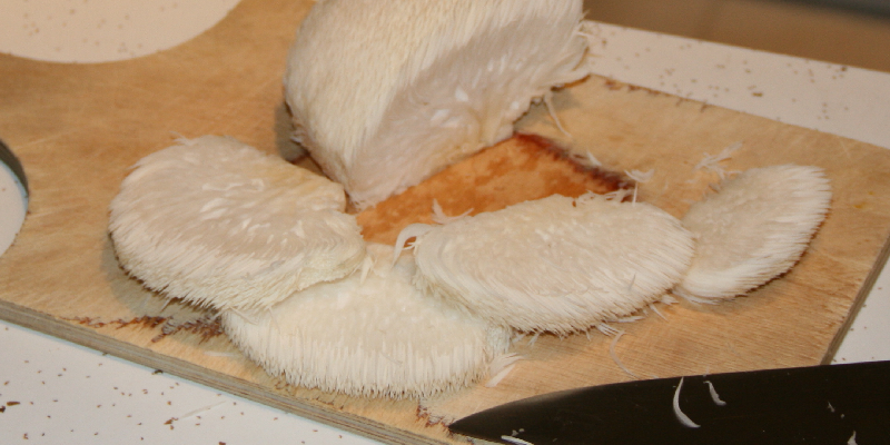 sliced raw lion's mane mushrooms