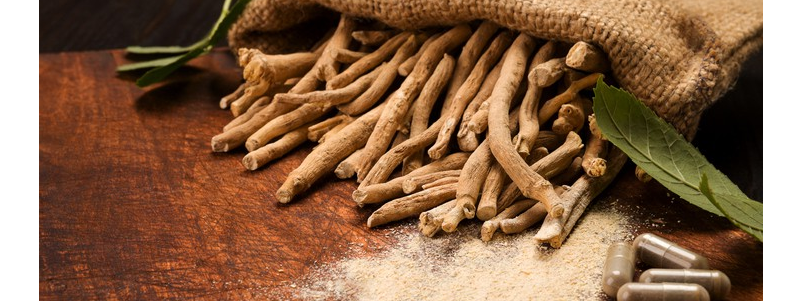 ashwagandha root extract