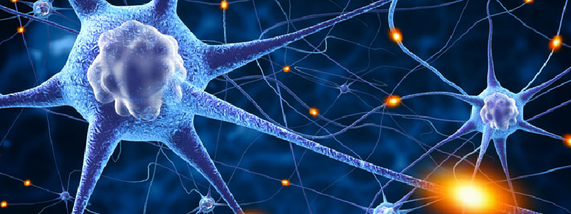neuroplasticity improves brain