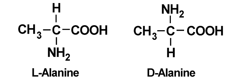 l alanine d alanine molecular