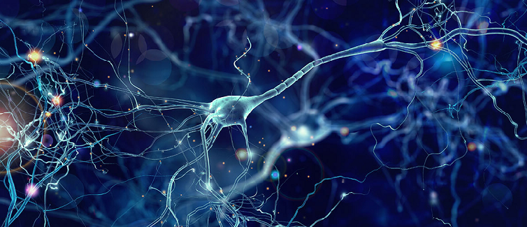 neurogenesis mind lab pro