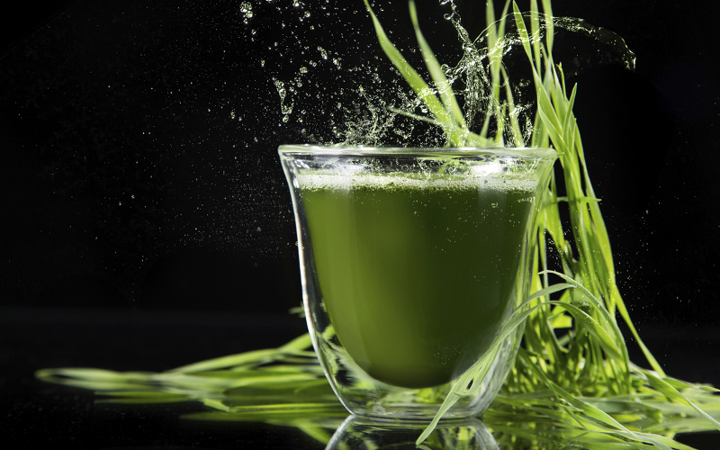 barley grass main