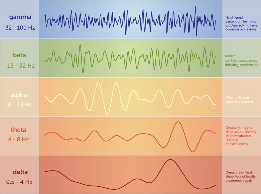 brainwaves l-theanine