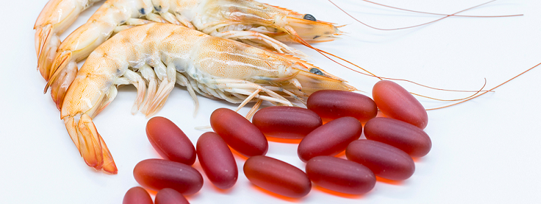 krill shrimp and krill oil