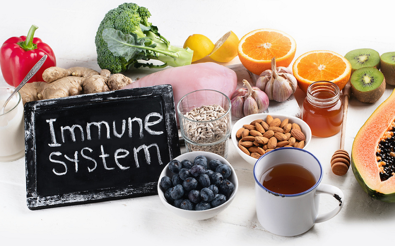 immune system articles