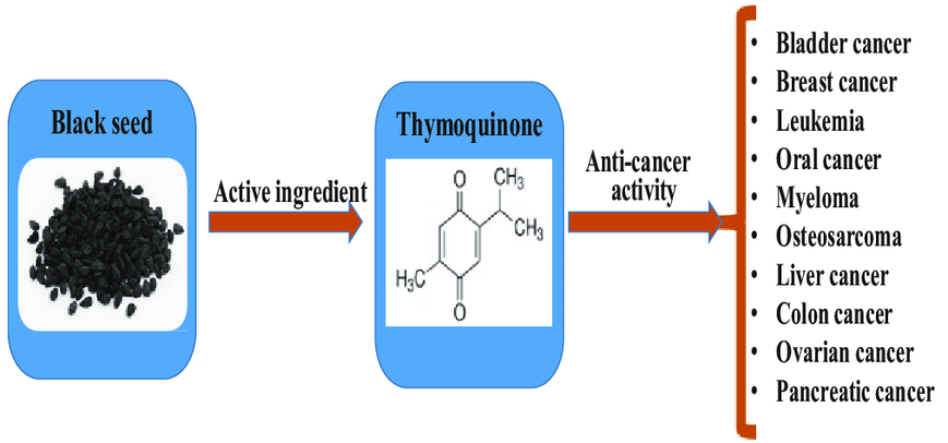 thymoquinone anti-cancer properties