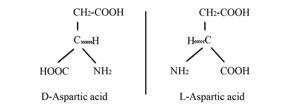 d-aspartic acid and l-aspartic acid molecular structures