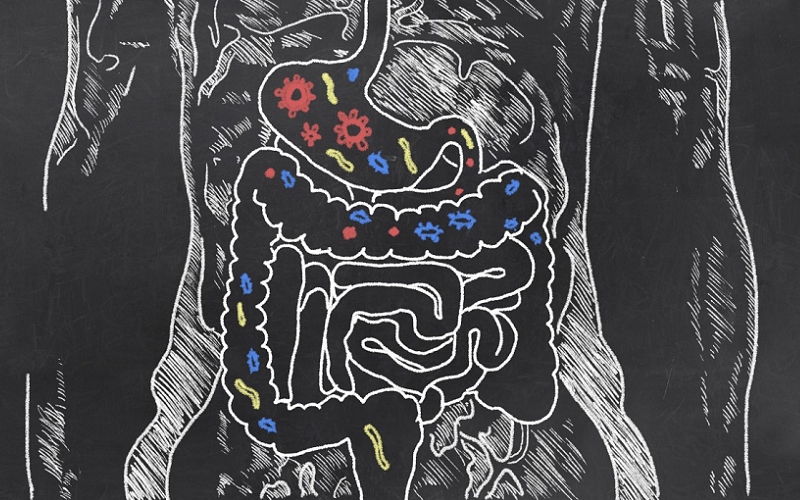 gut health prevent diseases