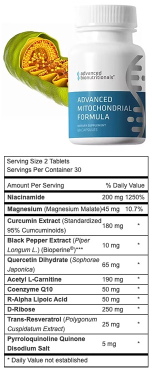 mitochondria supplement
