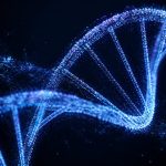 chronic inflammation fatigue joint pain