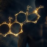 low-fat diet lowers testosterone